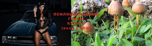 MESCALINE Аркадак